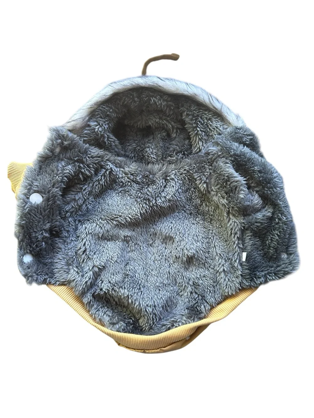 Bundle for Small Dog 2 coats, mittens and hat
